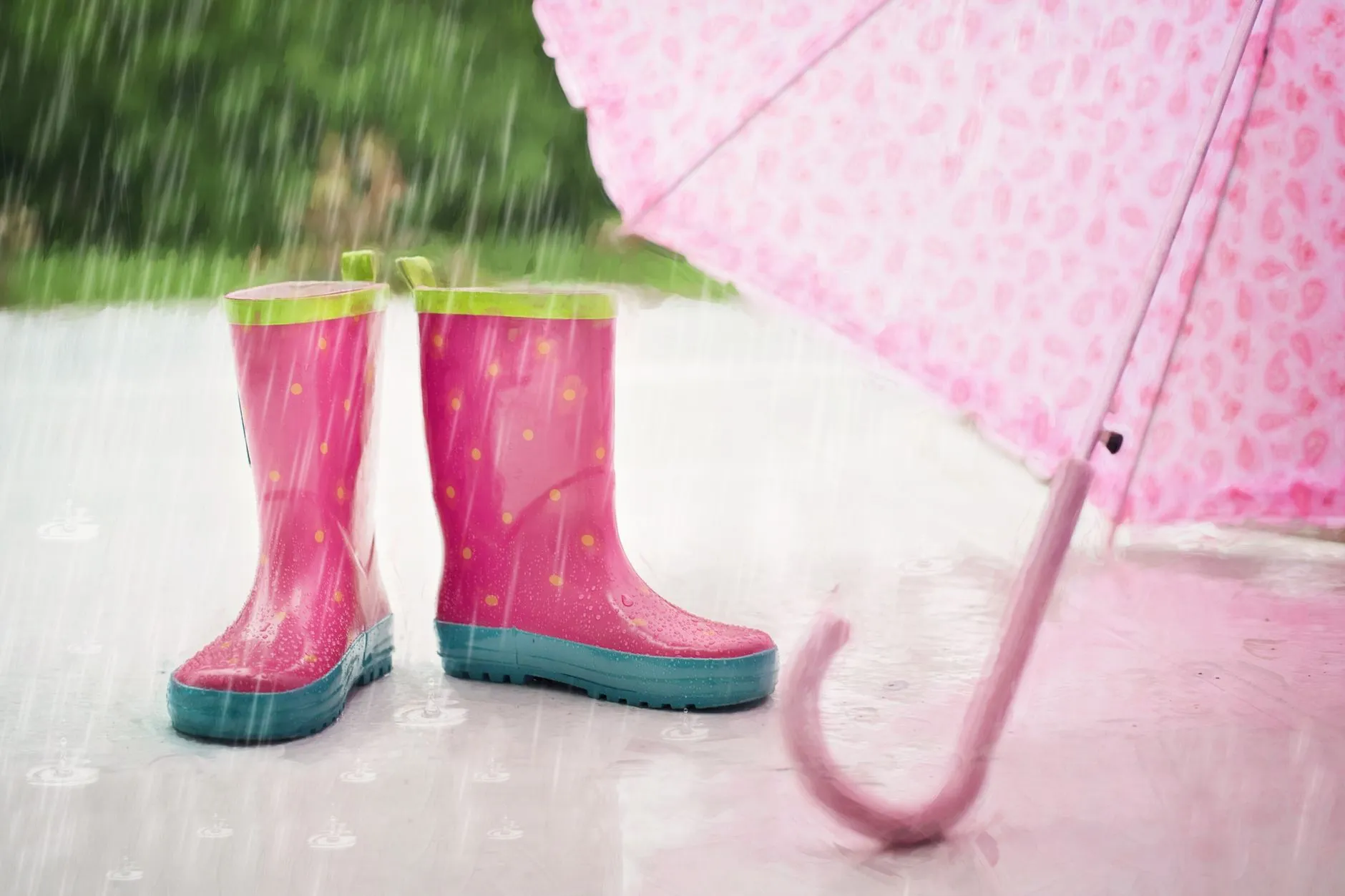 成都雨路教育学历提升方案与职业培训课程技术优势解析