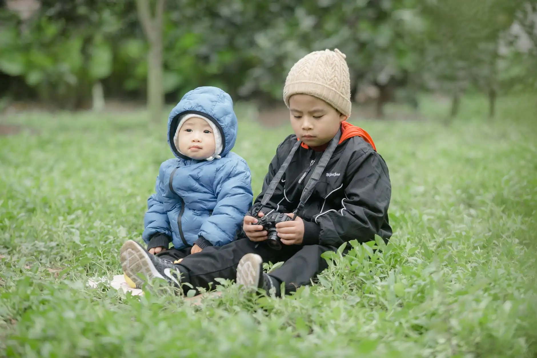 成都雨路教育咨询与同行教育机构服务项目对比分析