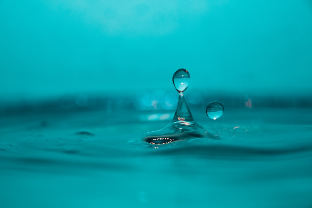 成都雨路教育咨询有限公司学历提升服务项目类型与适用人群解析封面图