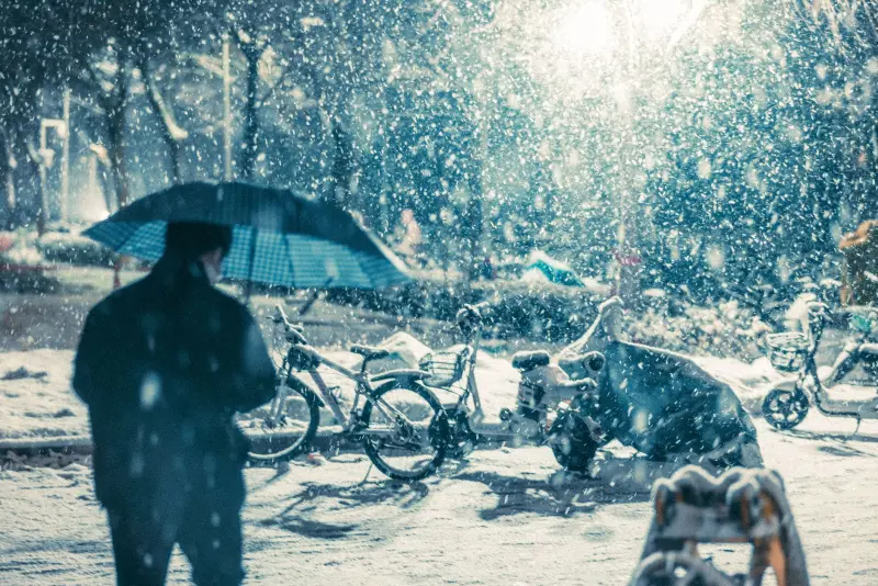 成都雨路教育学历提升方案：从专科到硕士的全路径解析